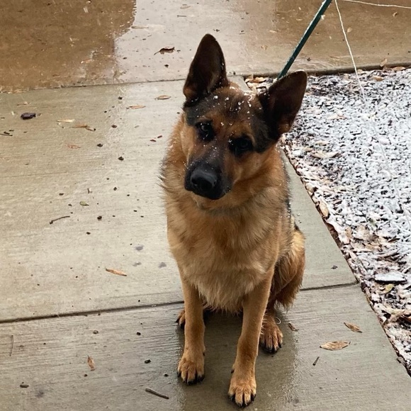 Meet your Posher, Paisyn - Picture 2 of 13